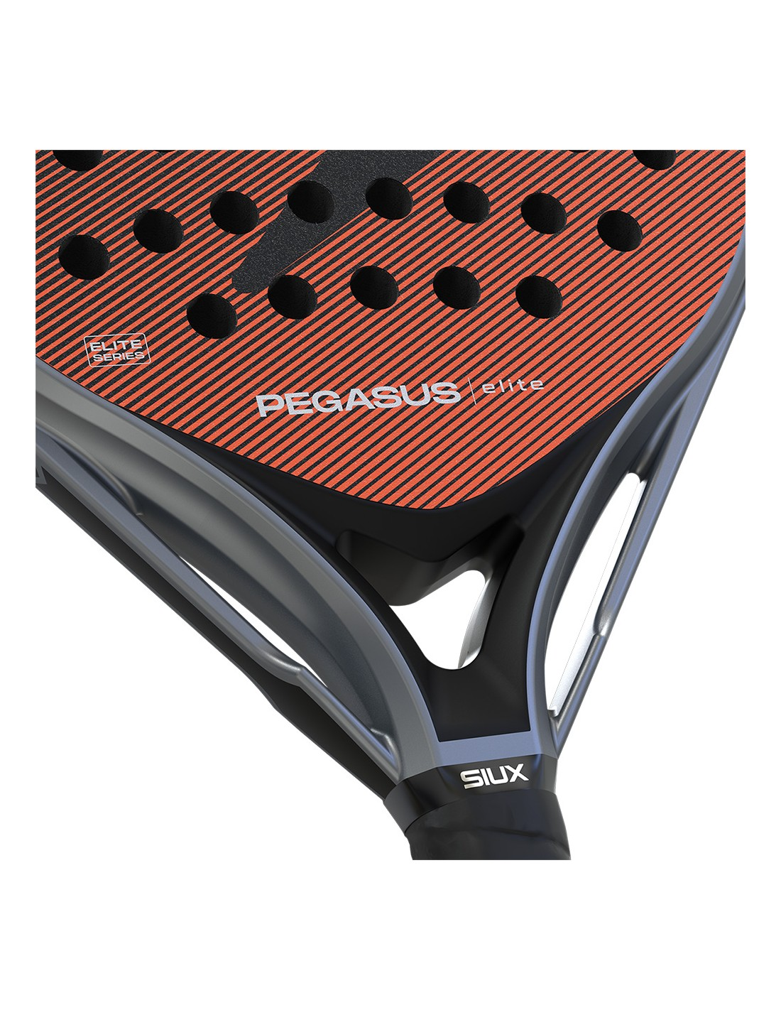 Siux Pegasus Elite 4 Padel Racket